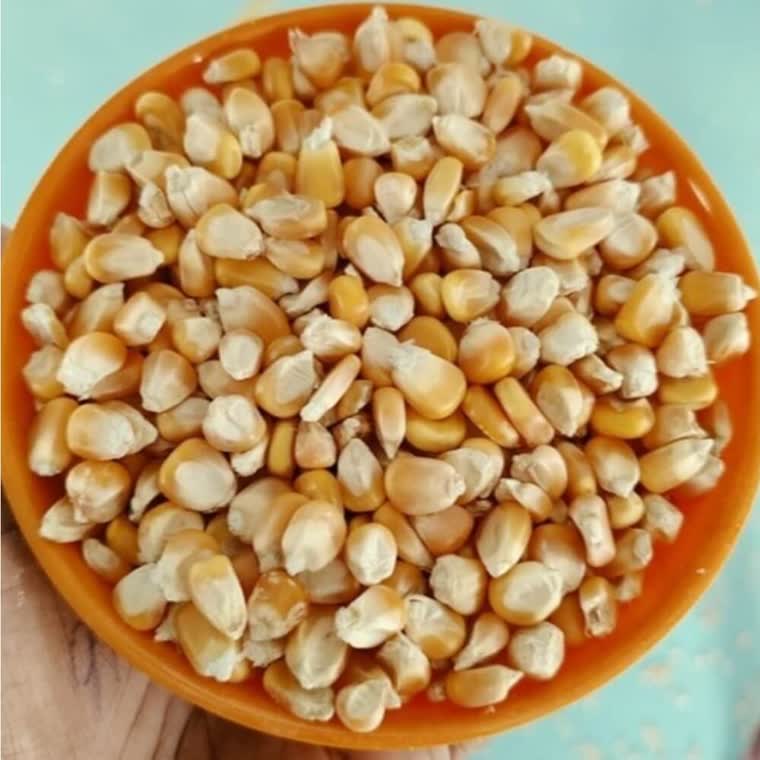 Maize